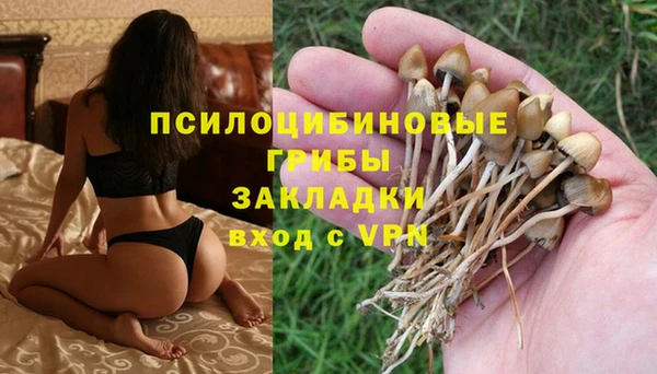 стафф Алексеевка